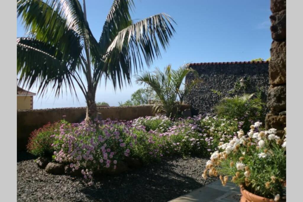 Casas Corea Puntagorda  Exterior photo